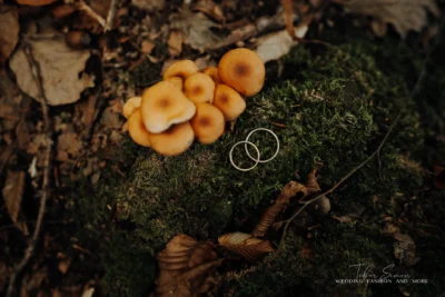 Esküvő fotós Győr